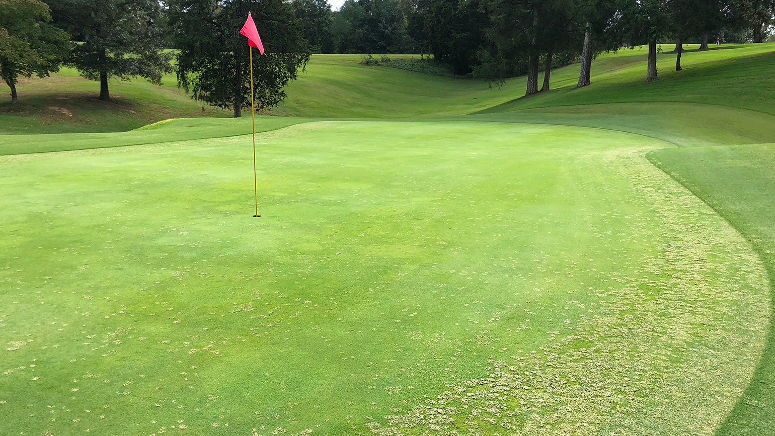 Does Firm and Fast Lead to Goosegrass?